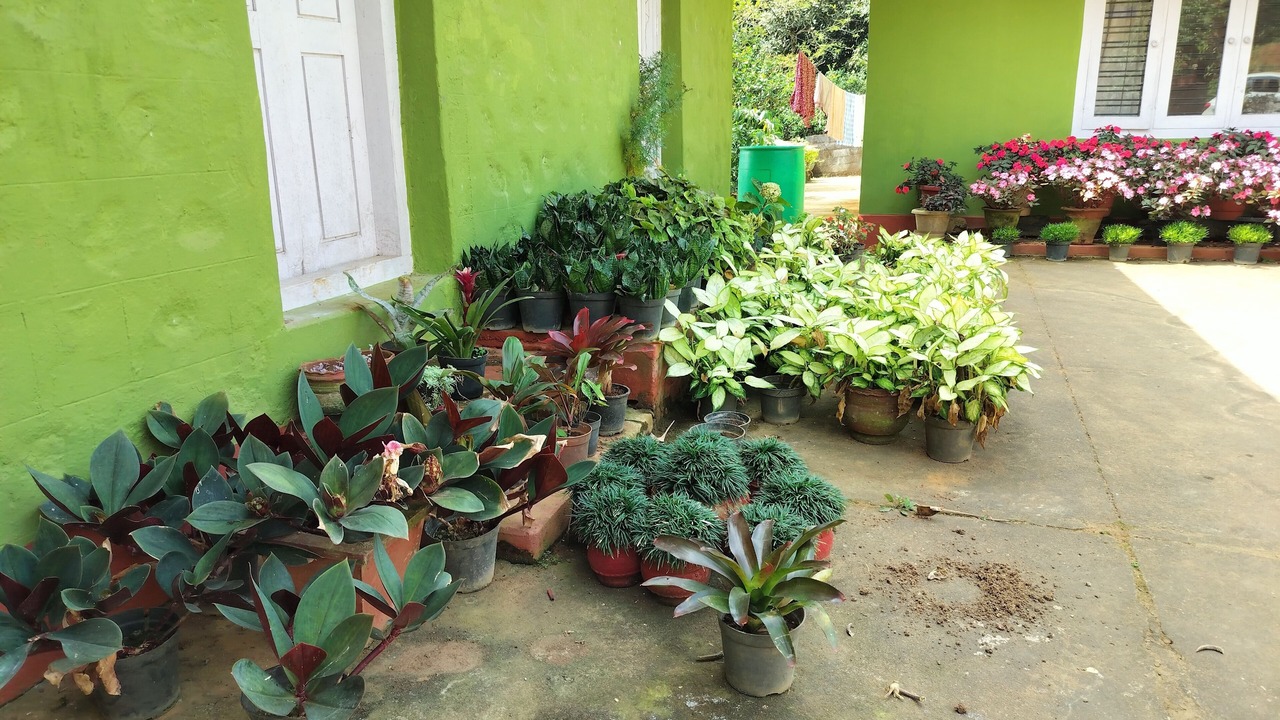 Photo of Outdoor in Polibetta