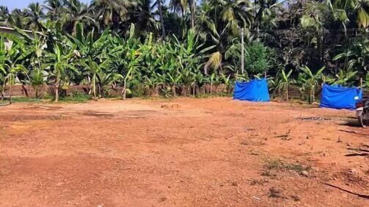 Photo of Outdoor in Honavar