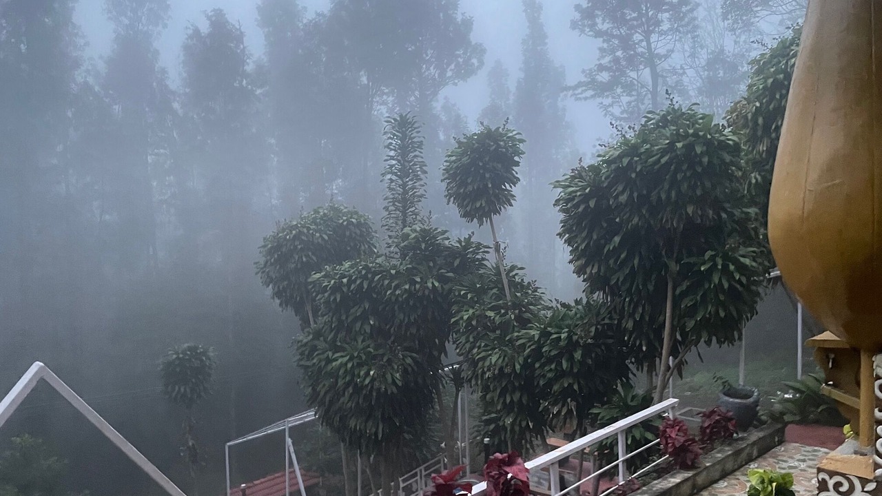 Photo of Outdoor in Yercaud