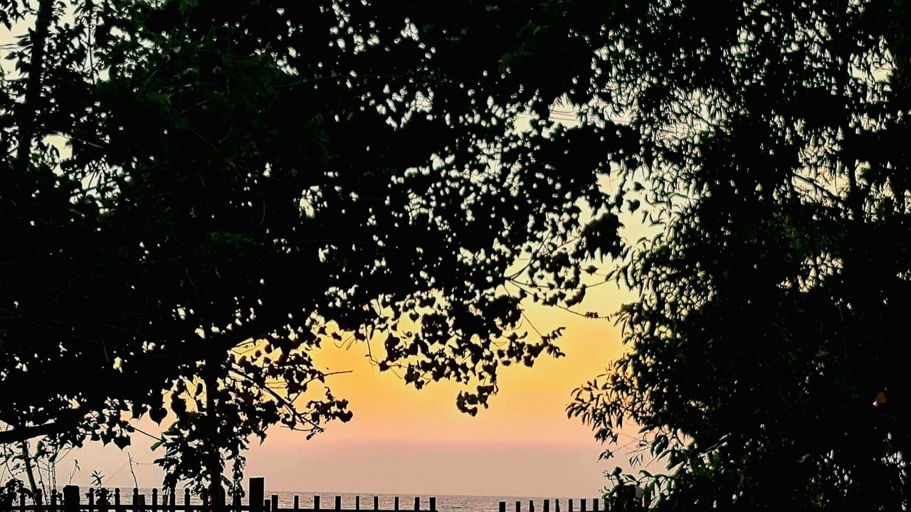 Photo of Outdoor in Mararikulam