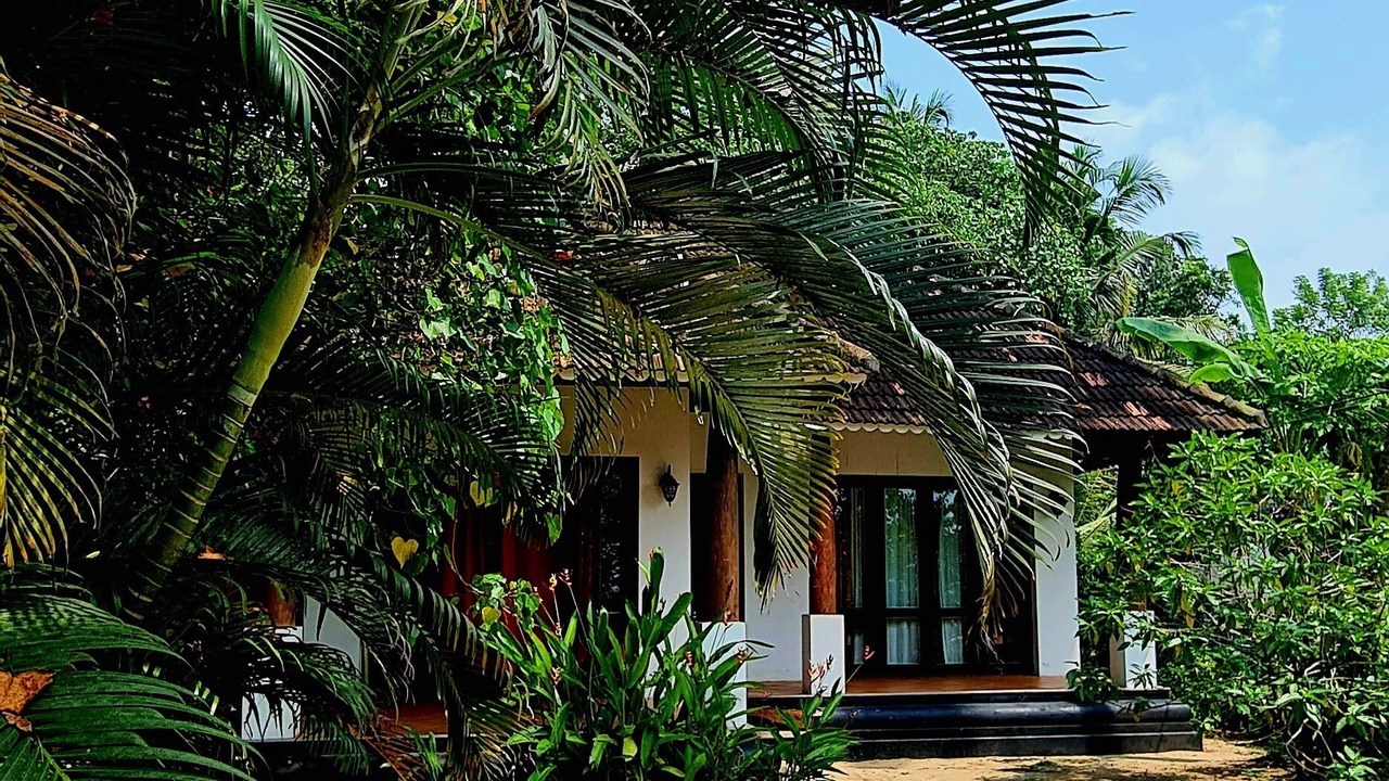Photo of Outdoor in Mararikulam