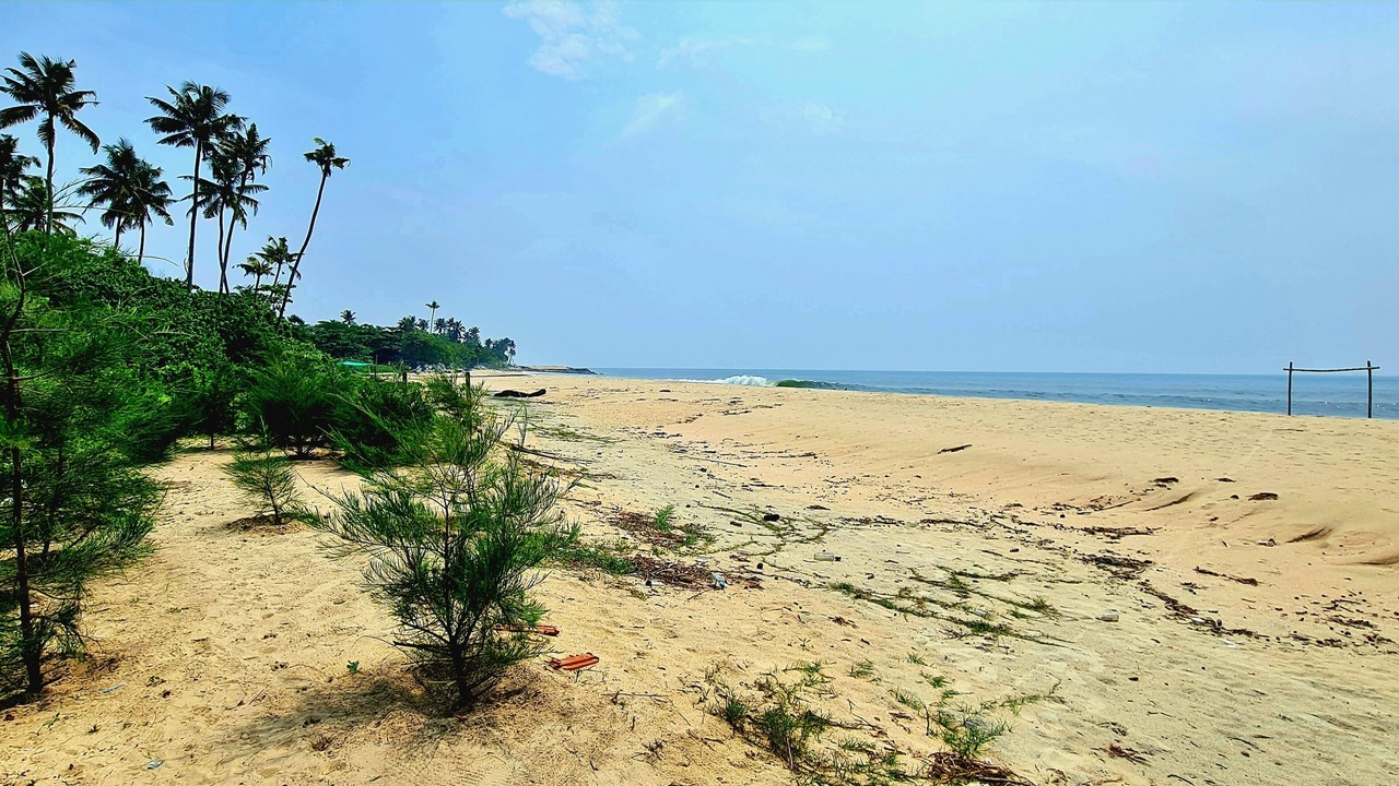 Photo of Others in Mararikulam