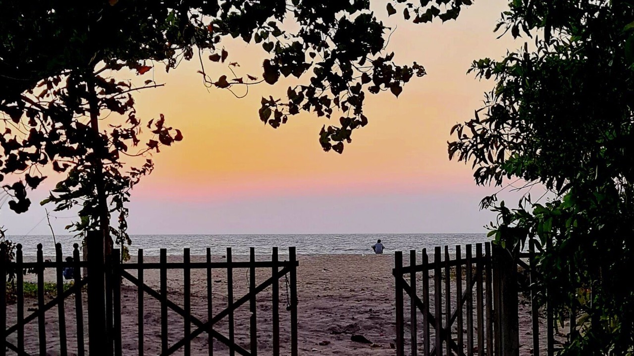 Photo of Outdoor in Mararikulam