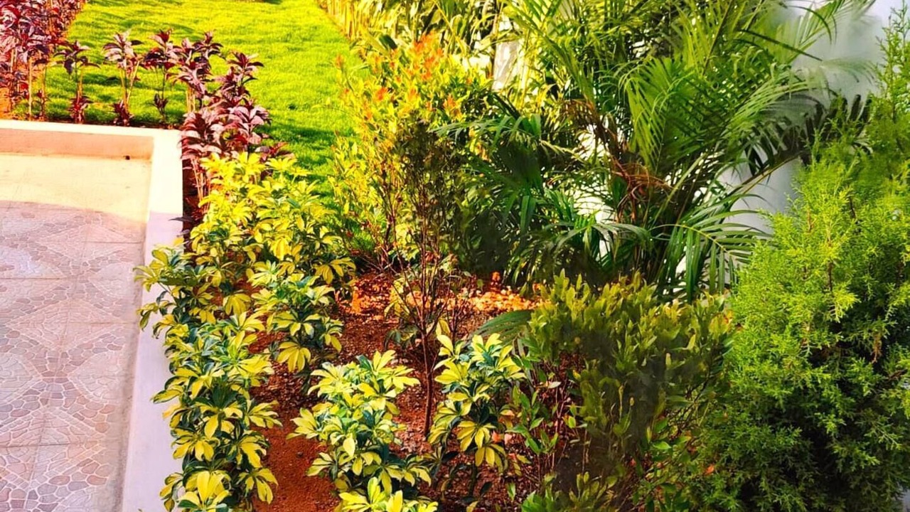 Photo of Outdoor in Hyderabad