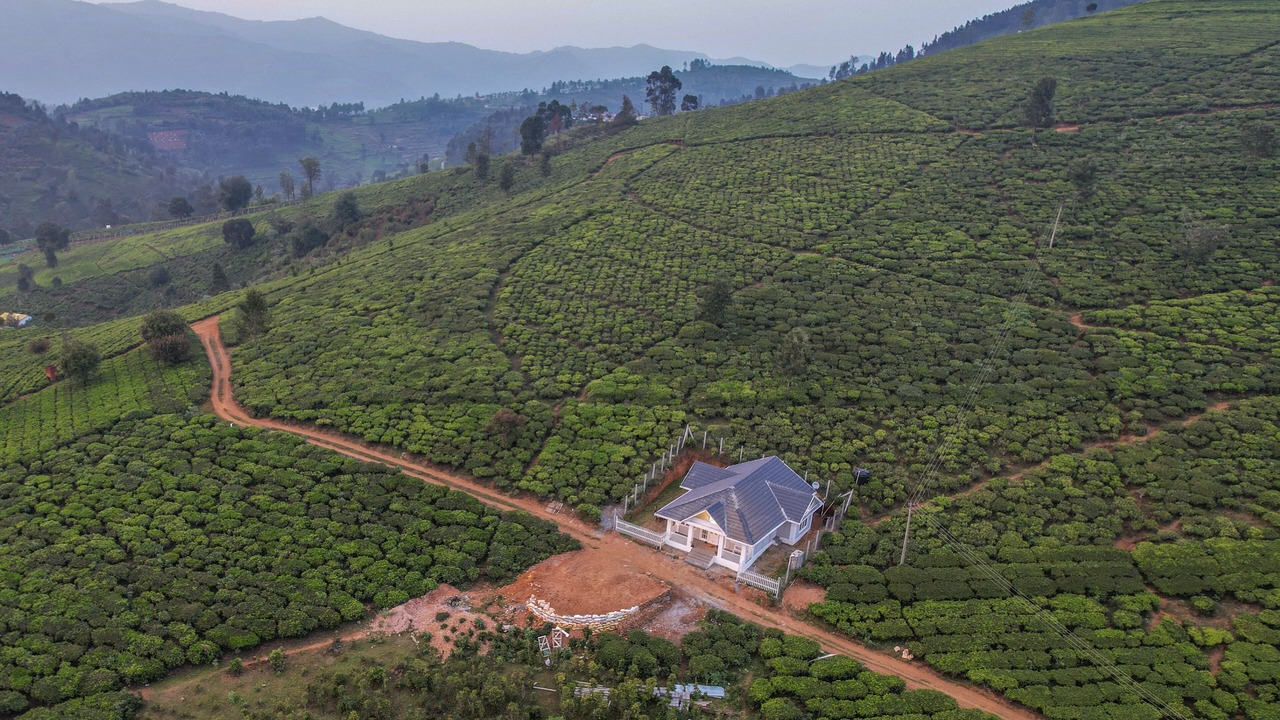 Photo of Outdoor in Kotagiri