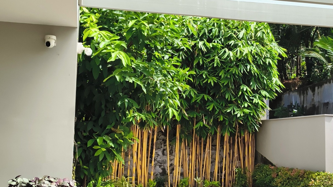 Photo of Outdoor in Chirayinkil
