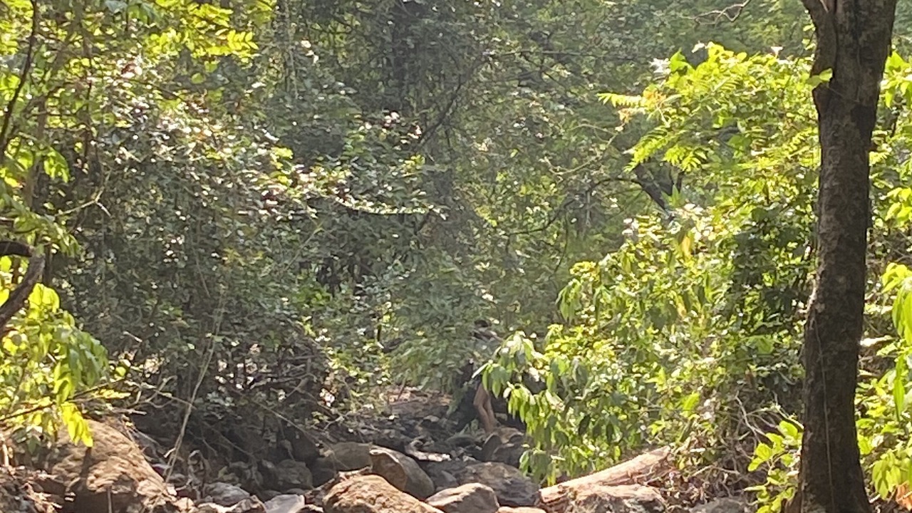 Photo of Outdoor in Lonavala