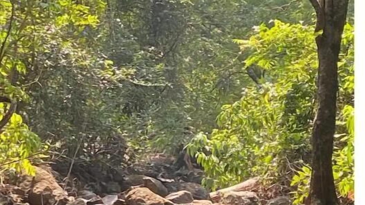 Photo of Others in Lonavala