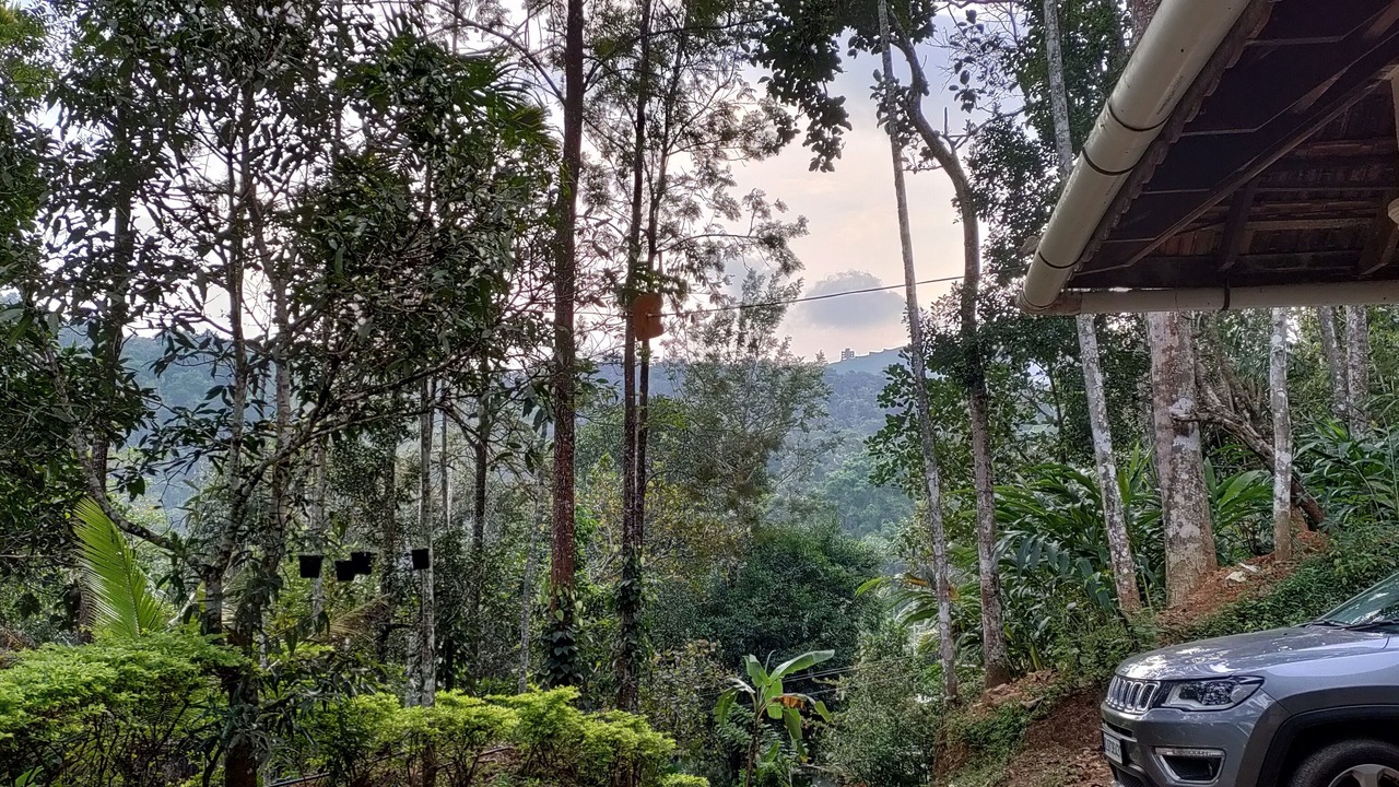 Photo of Outdoor in Udumbanchola