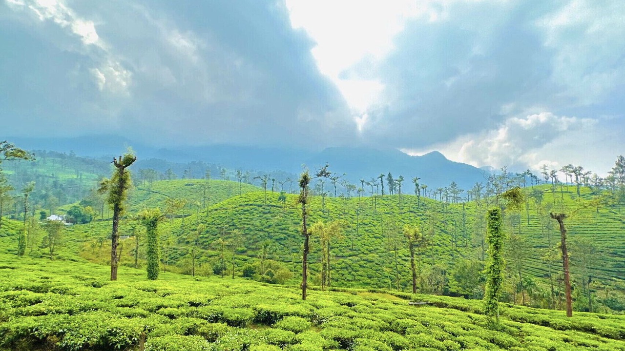 Photo of Outdoor in Vythiri