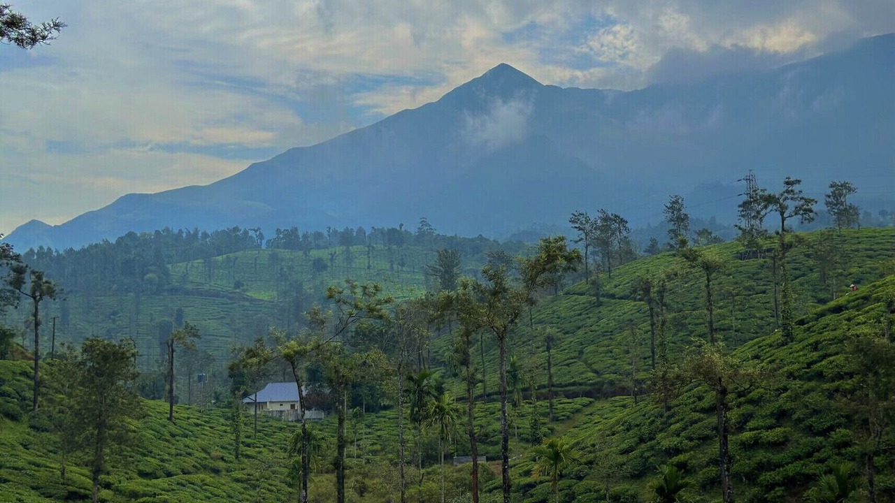 Photo of Outdoor in Vythiri