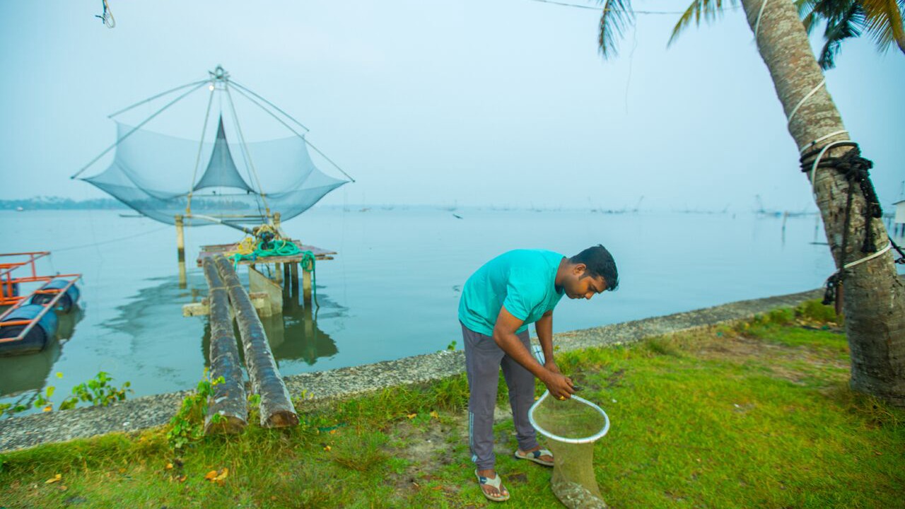 Photo of Outdoor in Kumbalangi