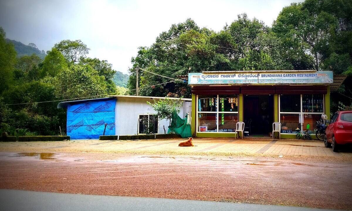 Photo of Outdoor in Agumbe