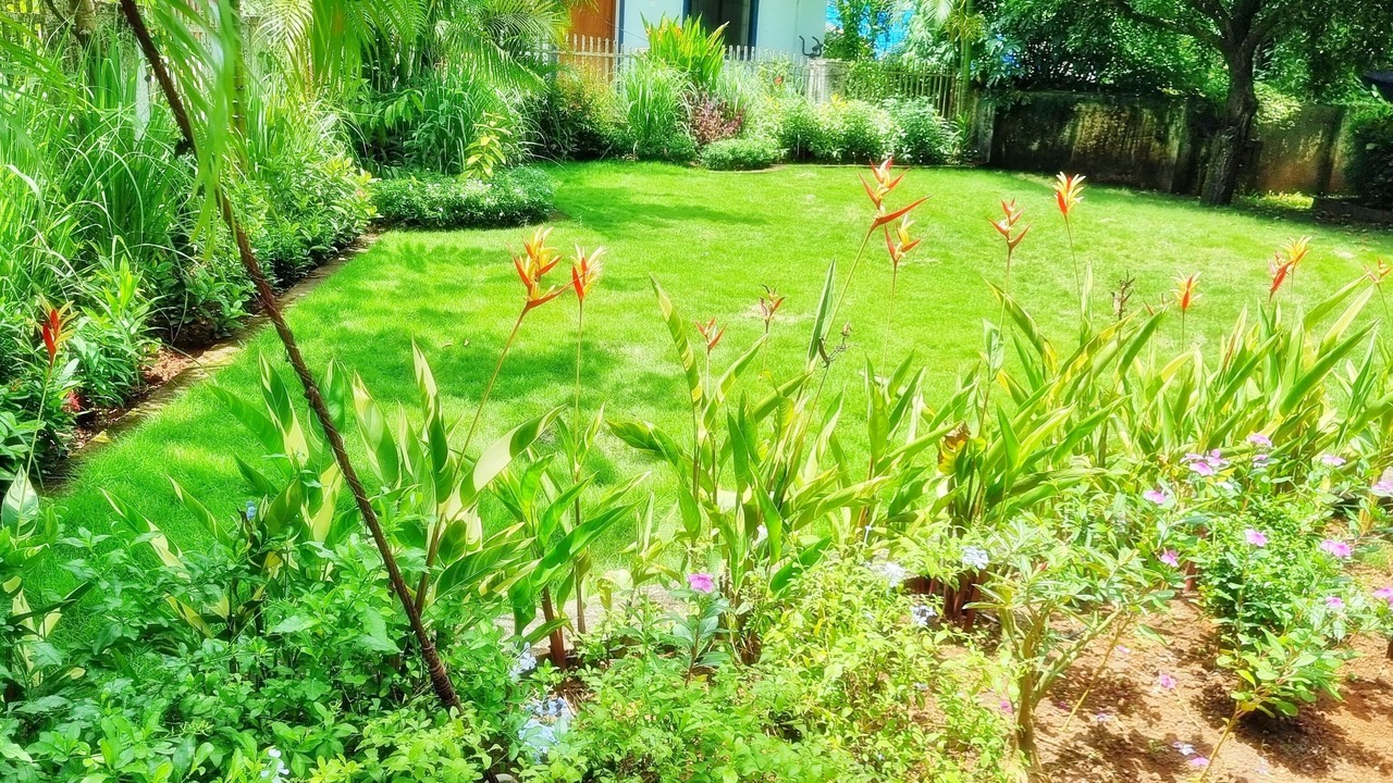 Photo of Outdoor in Parra