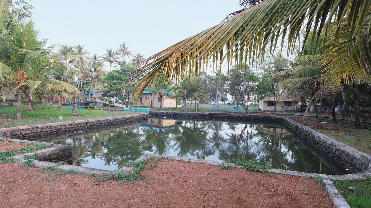 Photo of Outdoor in Andhakaranazhy