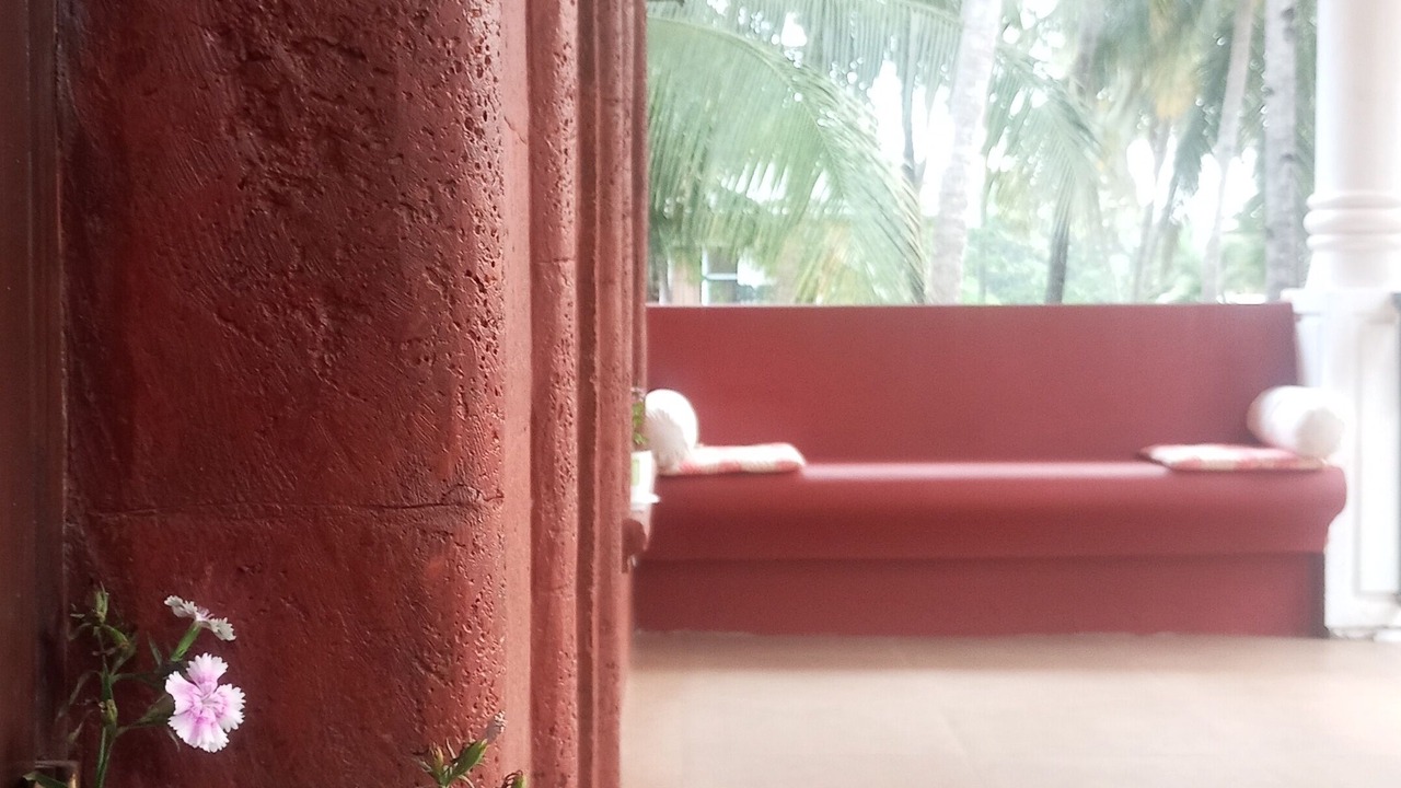Photo of Others in Calangute