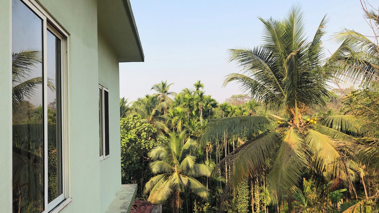 Photo of Outdoor in Pernem
