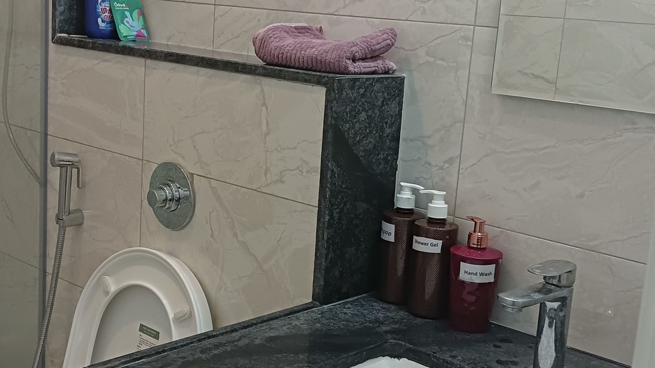 Photo of Bathroom in Hadapsar