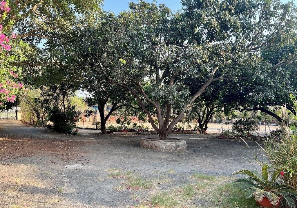 Photo of Outdoor in Bhopal