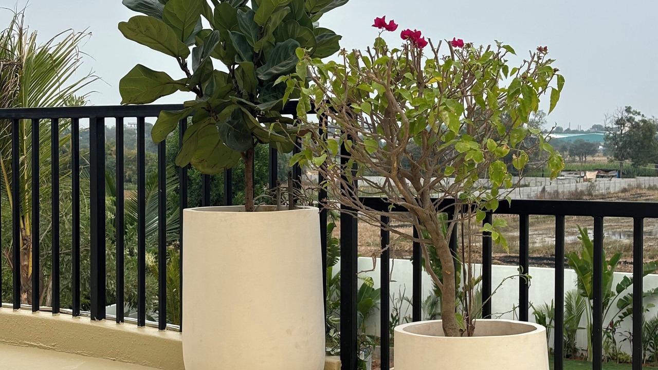 Photo of Outdoor in Gajwel