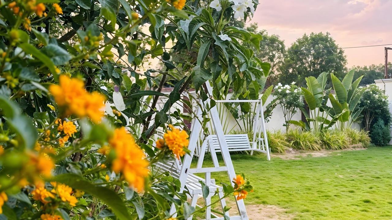 Photo of Outdoor in Chevella