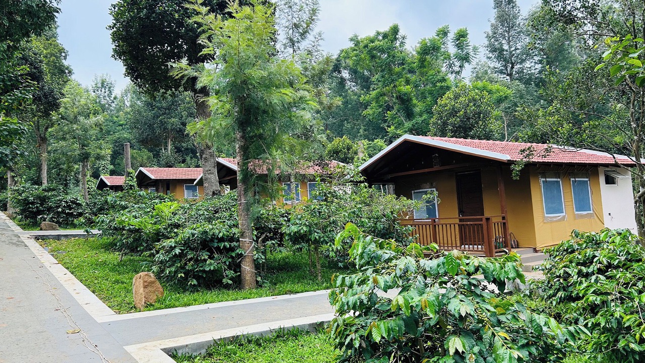 Photo of Outdoor in Yercaud