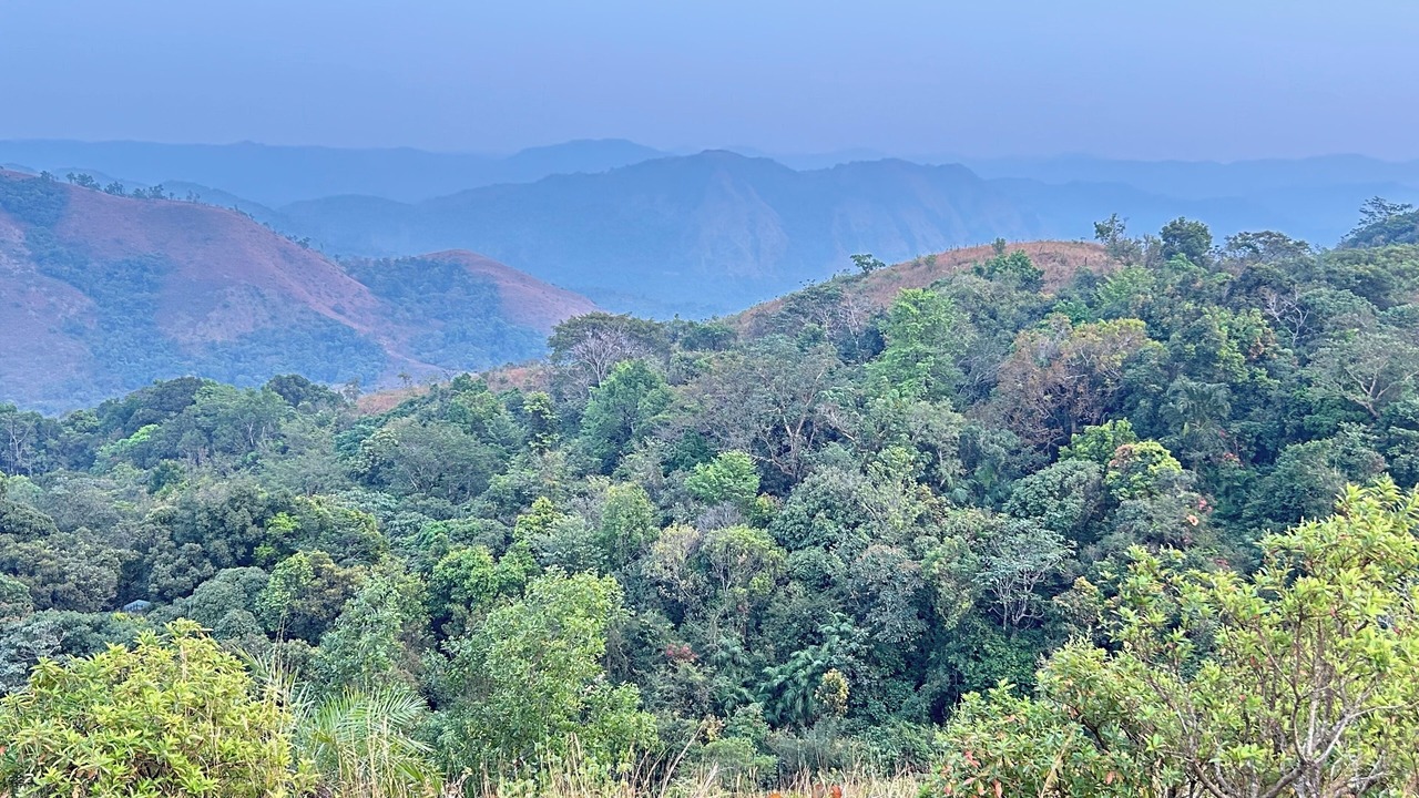 Photo of Others in Sakleshpur