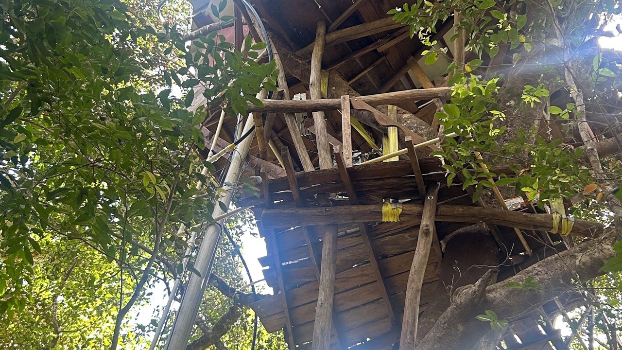 Photo of Outdoor in Sakleshpur