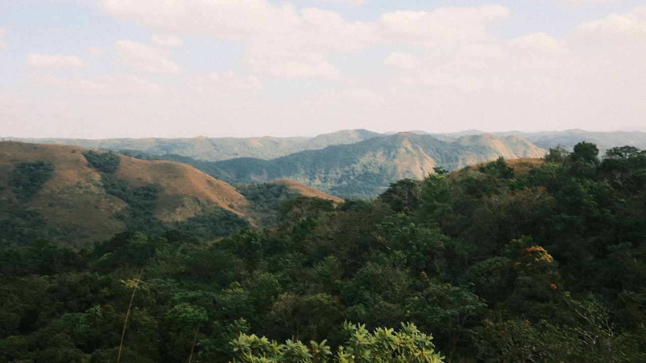 Photo of Others in Sakleshpur