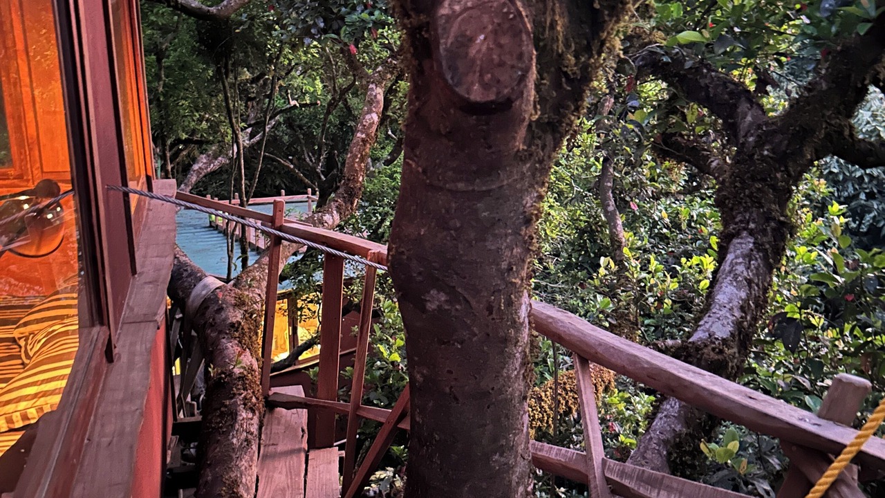 Photo of Outdoor in Sakleshpur