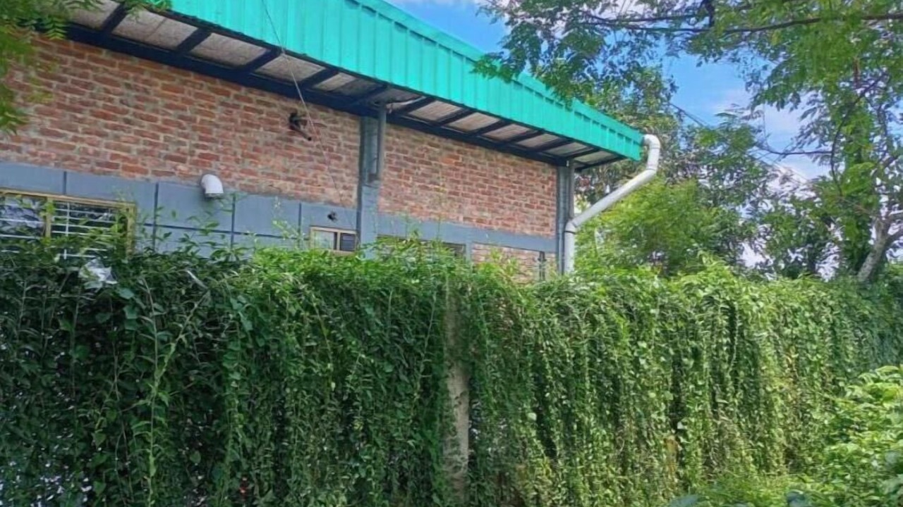 Photo of Outdoor in Tandur