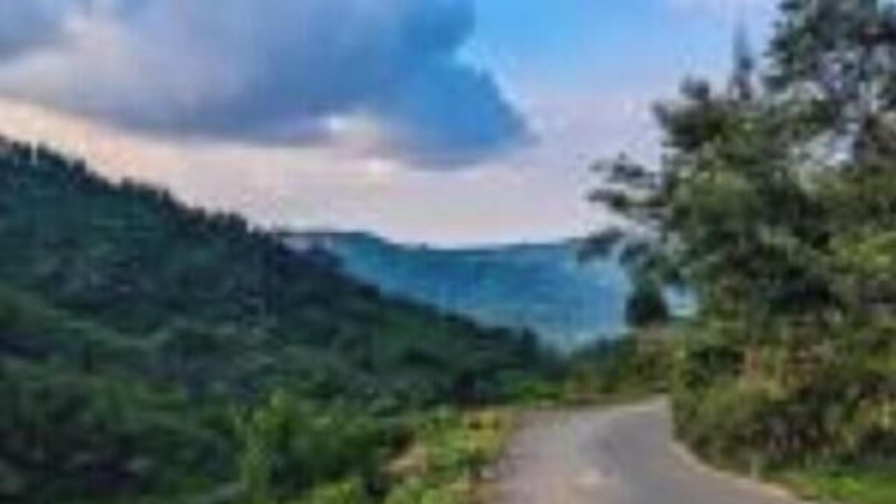 Photo of Others in Kotagiri