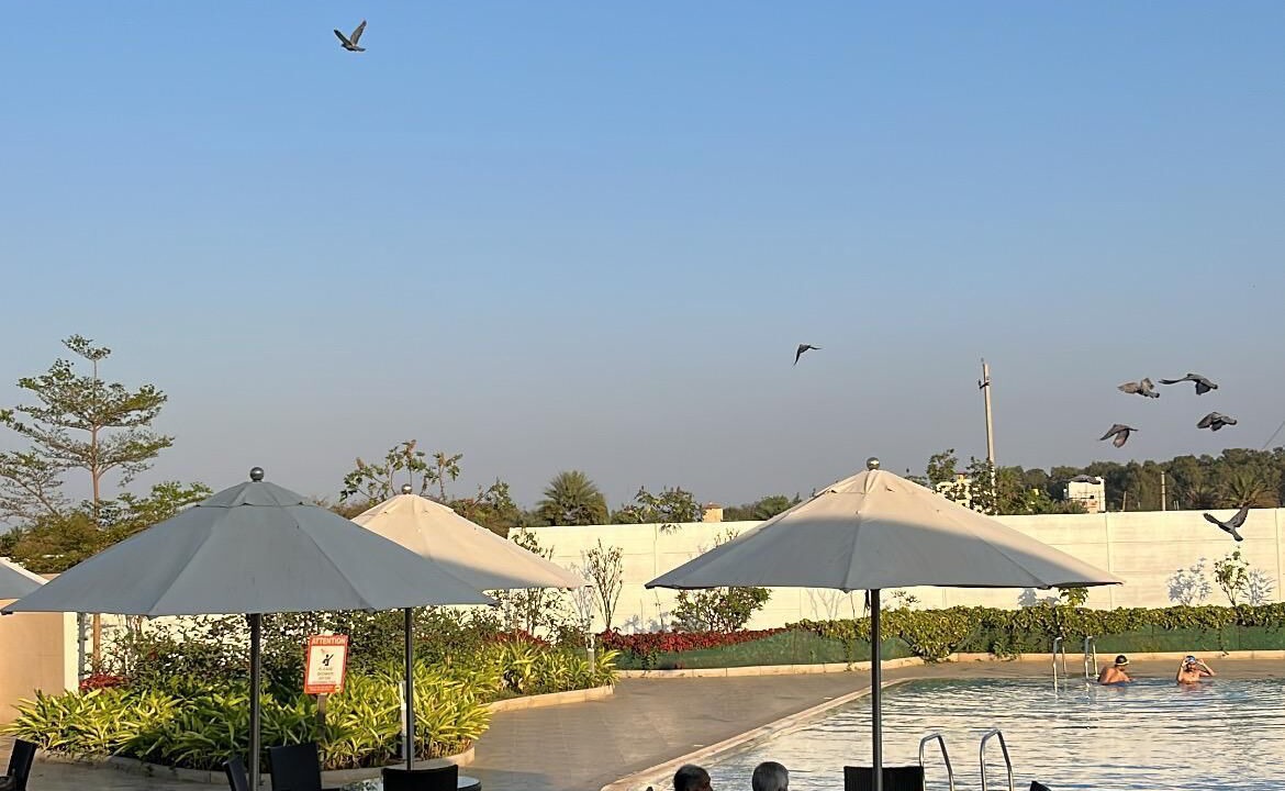 Photo of Outdoor in Bengaluru