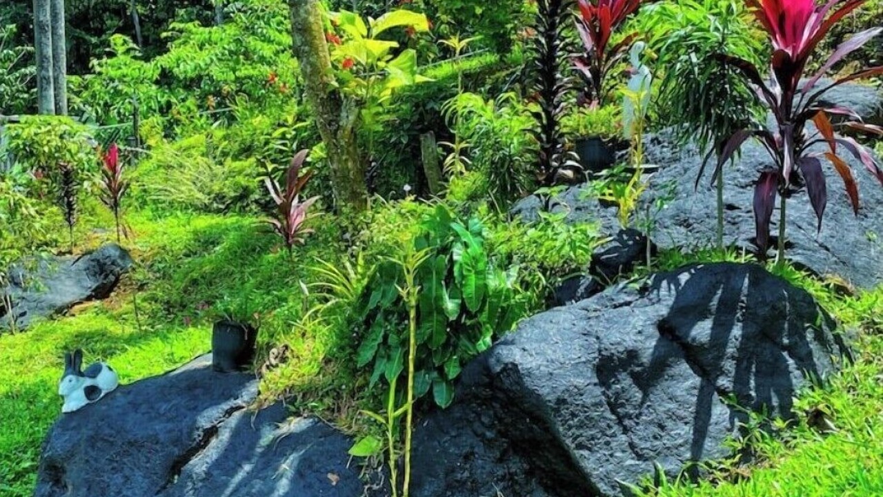 Photo of Outdoor in Devikolam