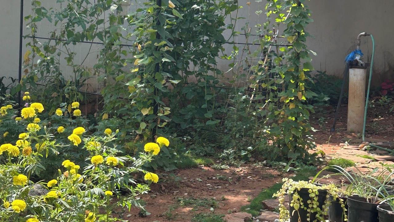 Photo of Outdoor in Mysore