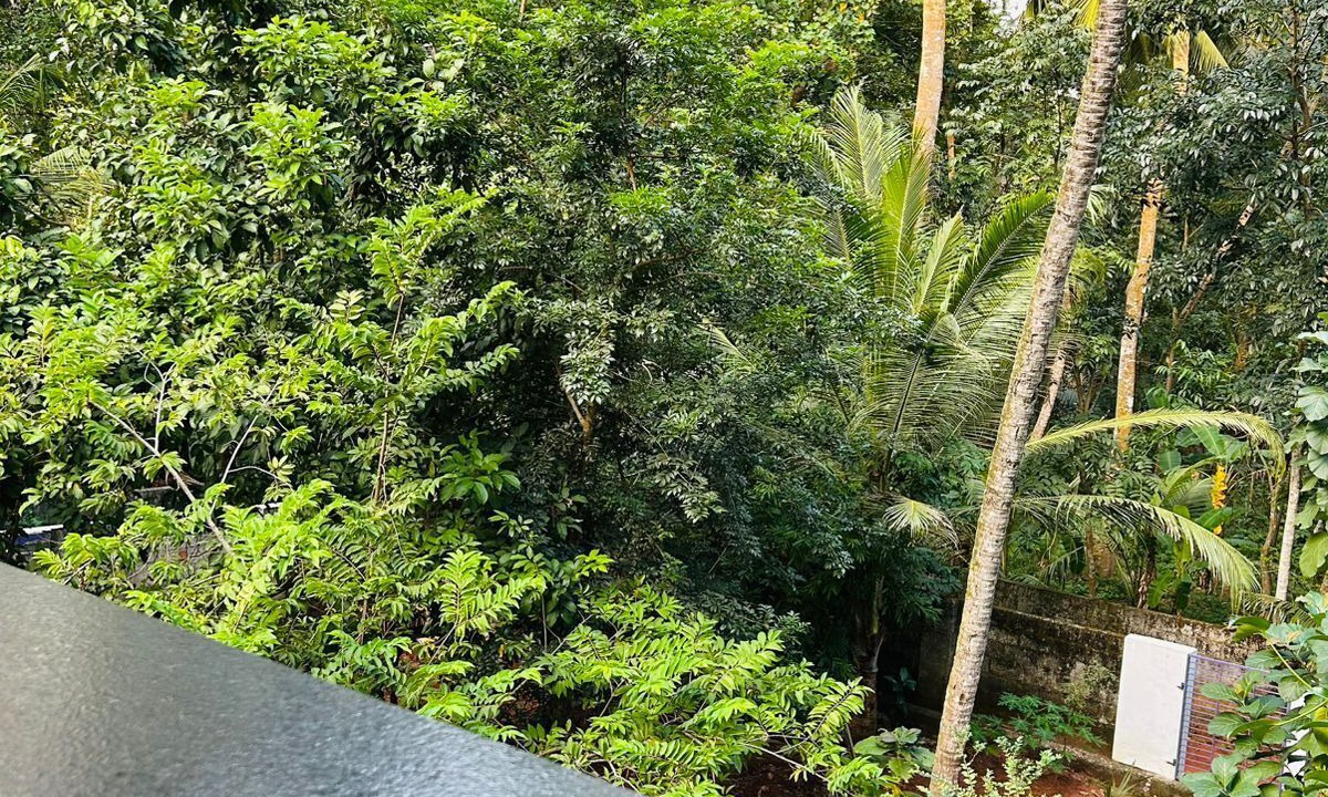 Photo of Others in Poovar
