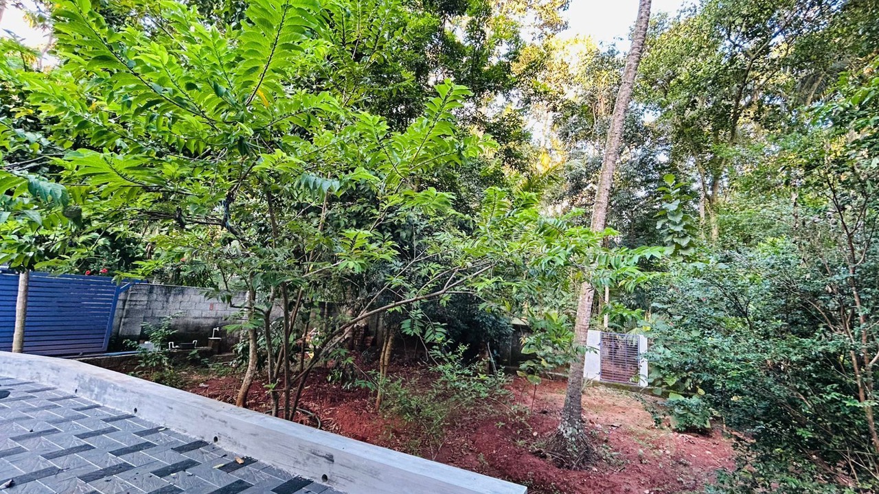 Photo of Outdoor in Poovar