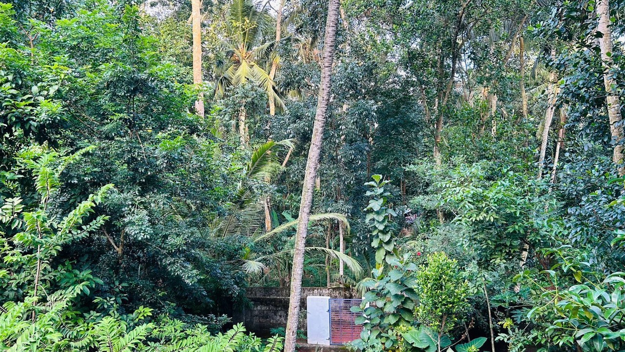 Photo of Others in Poovar