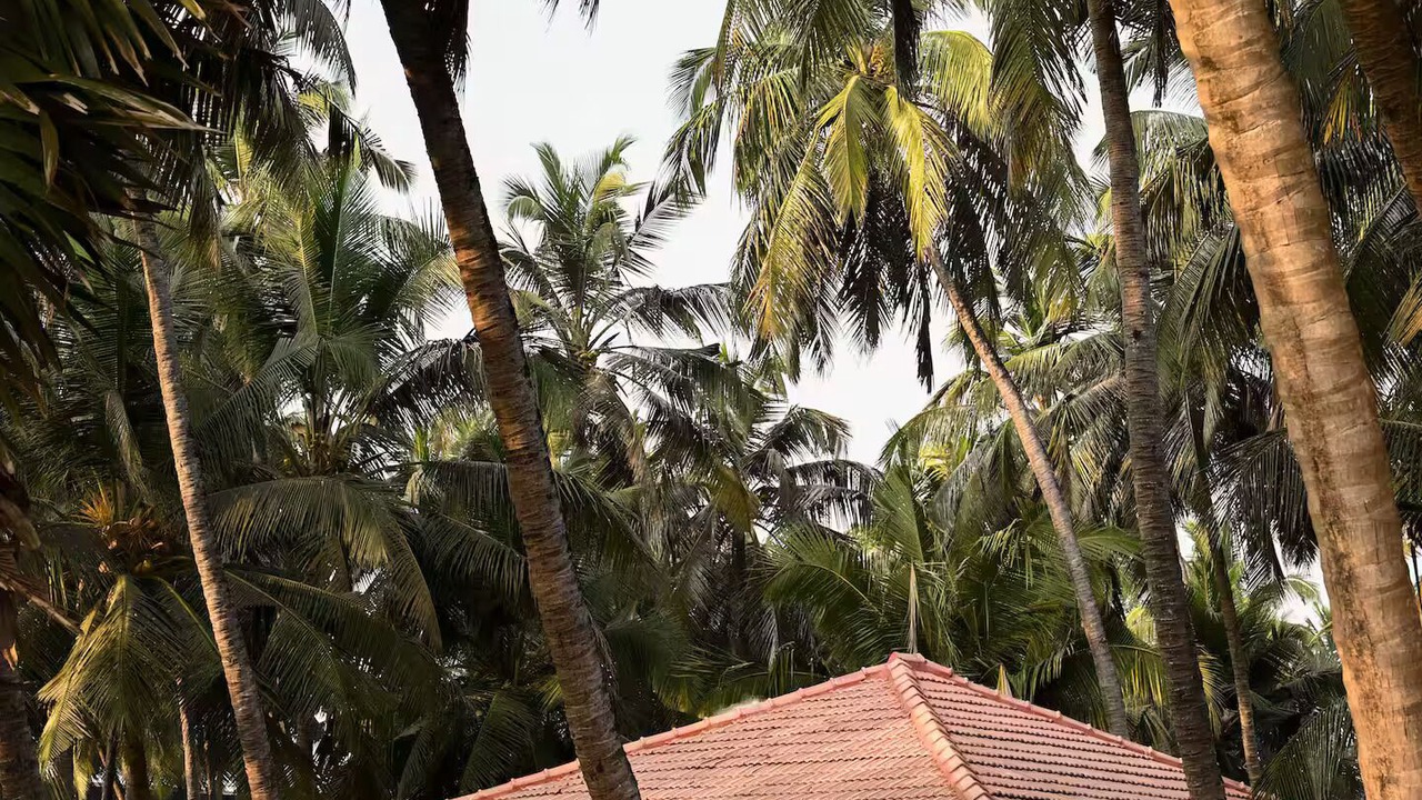 Photo of Outdoor in Malpe
