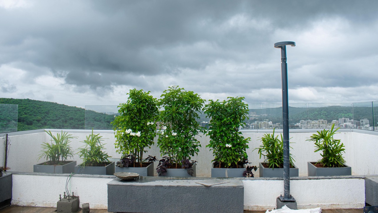 Photo of Outdoor in Pashan