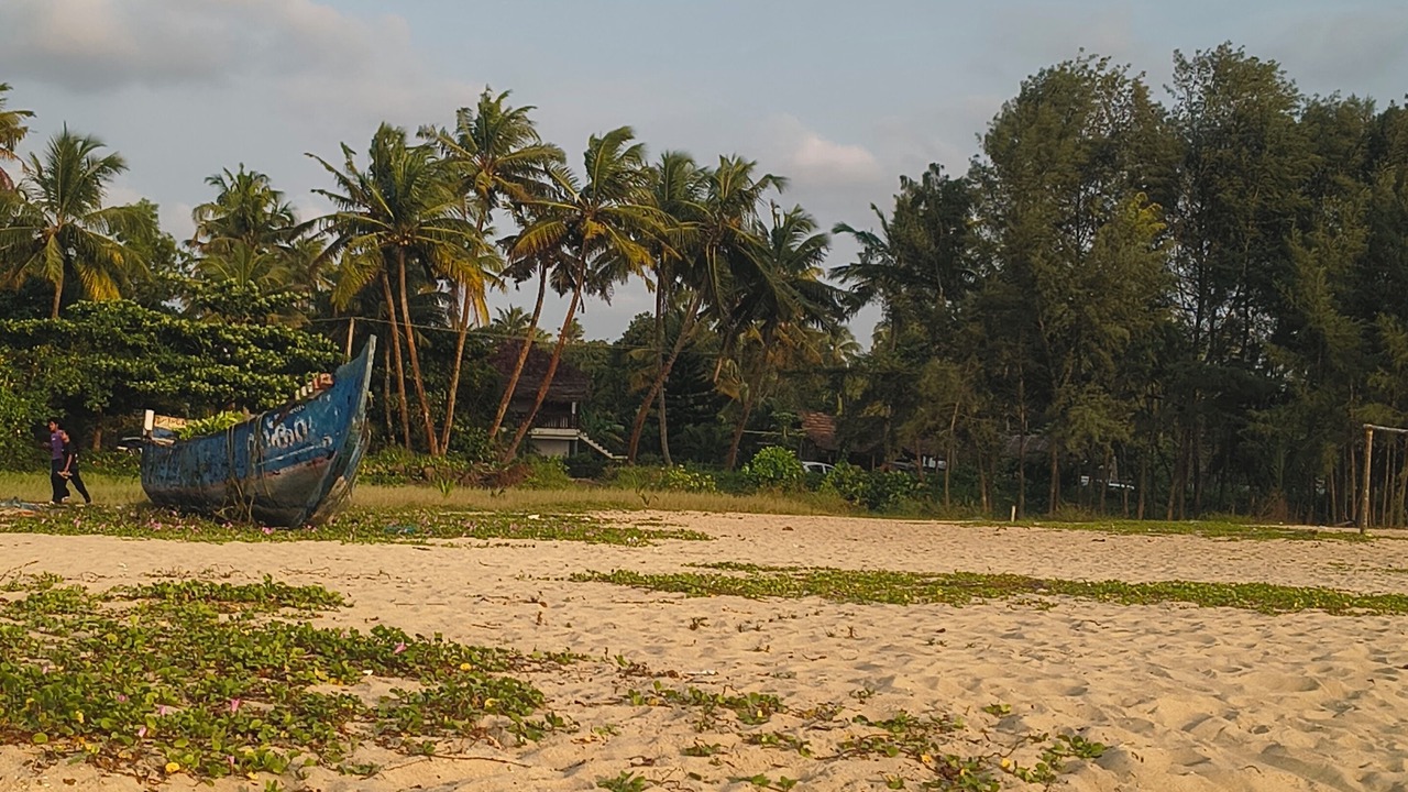 Photo of Others in Cherthala