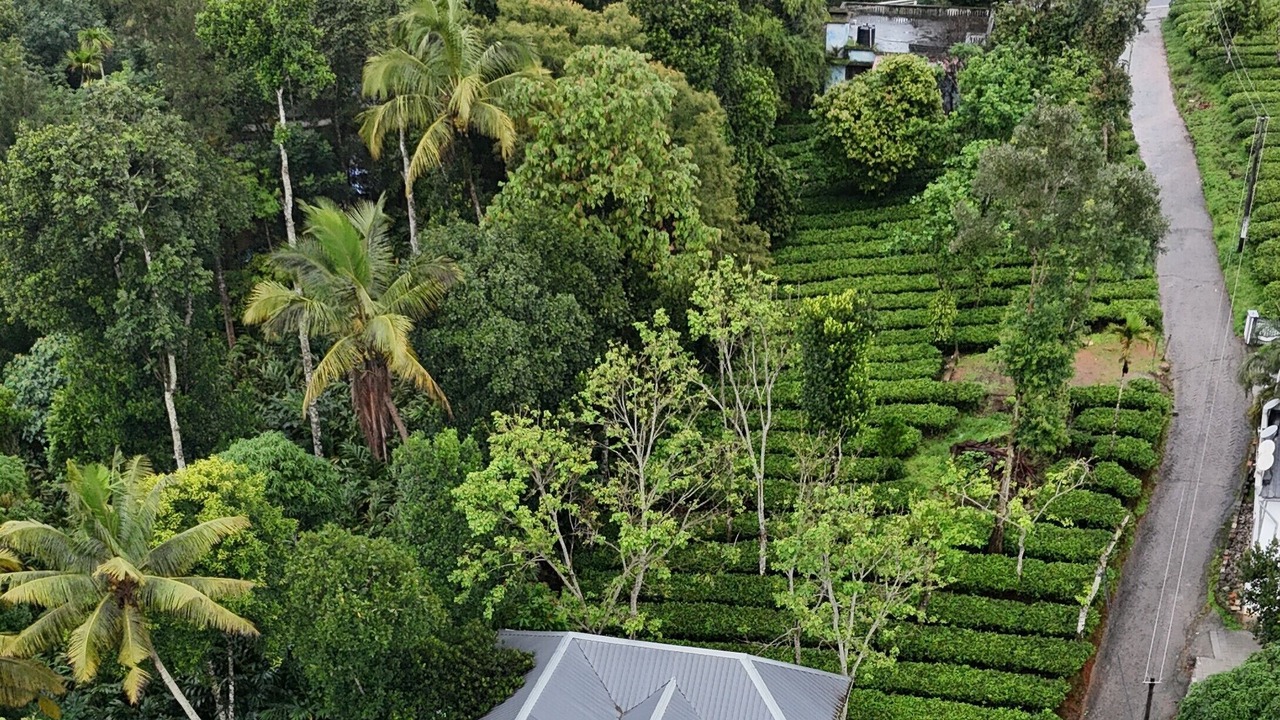 Photo of Outdoor in Devikolam