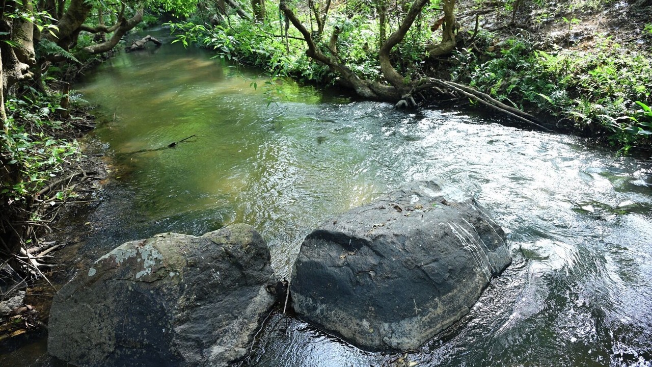 Photo of Others in Madapura