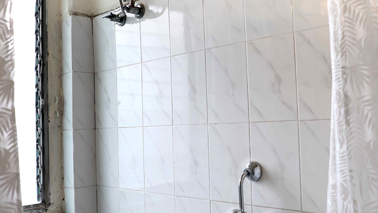 Photo of Bathroom in Dharmatala