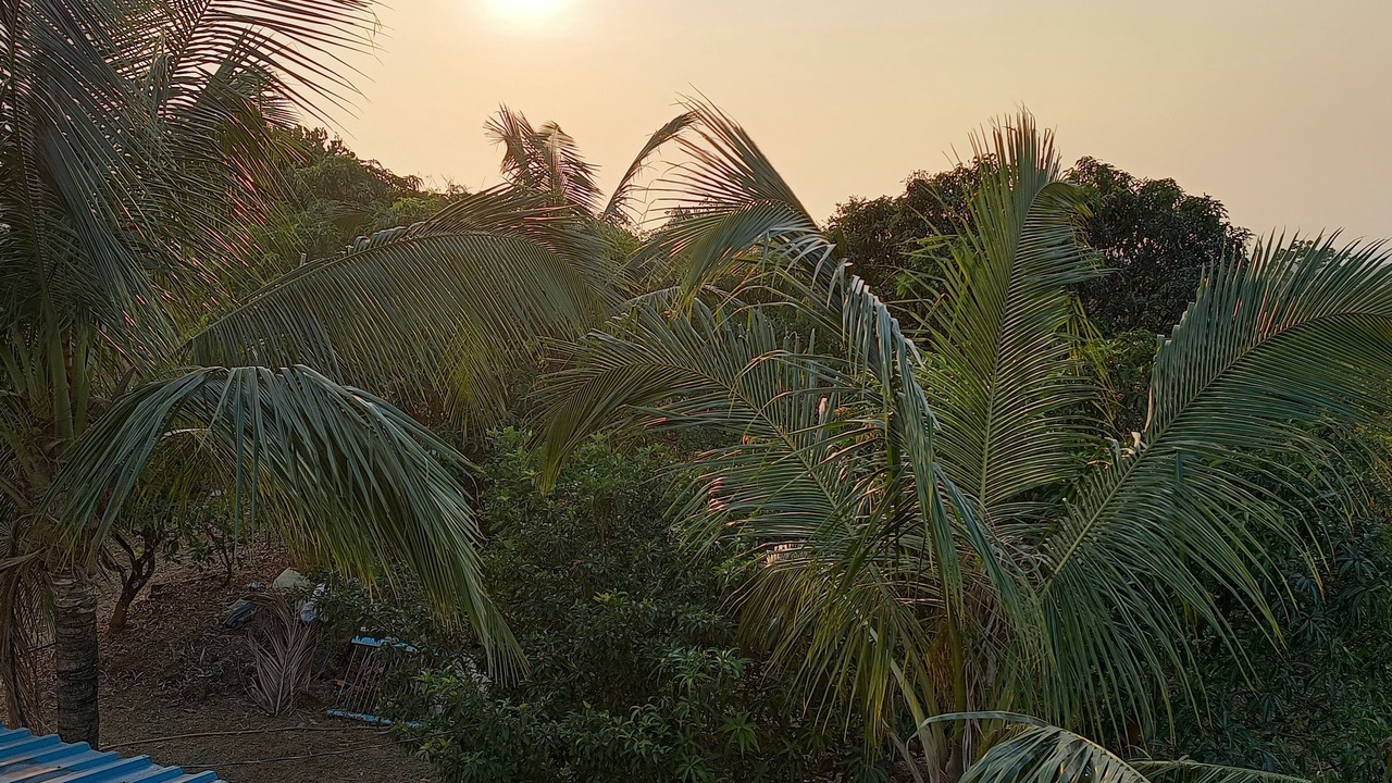 Photo of Outdoor in Rajapur