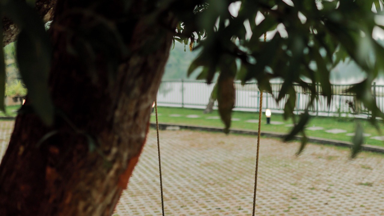 Photo of Outdoor in Kozhikode