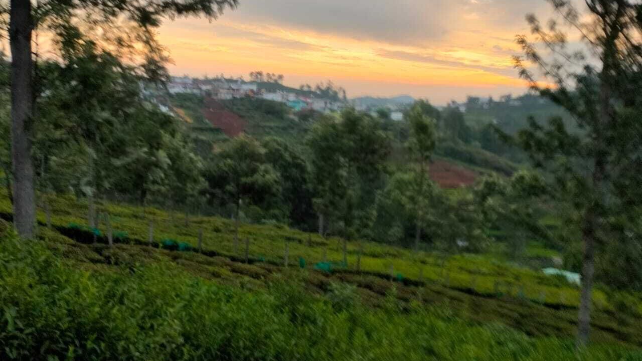 Photo of Others in Kotagiri