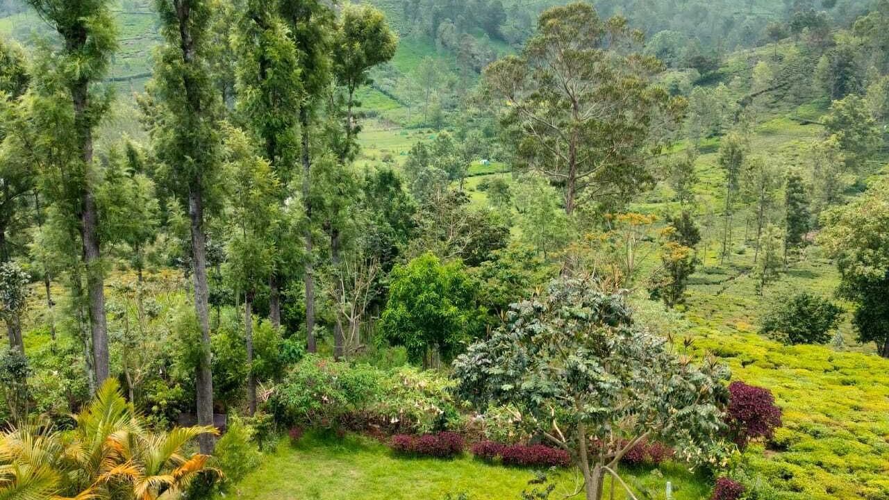 Photo of Outdoor in Kotagiri