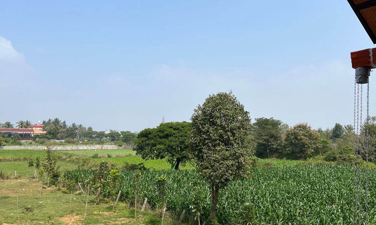 Photo of Outdoor in Vastare