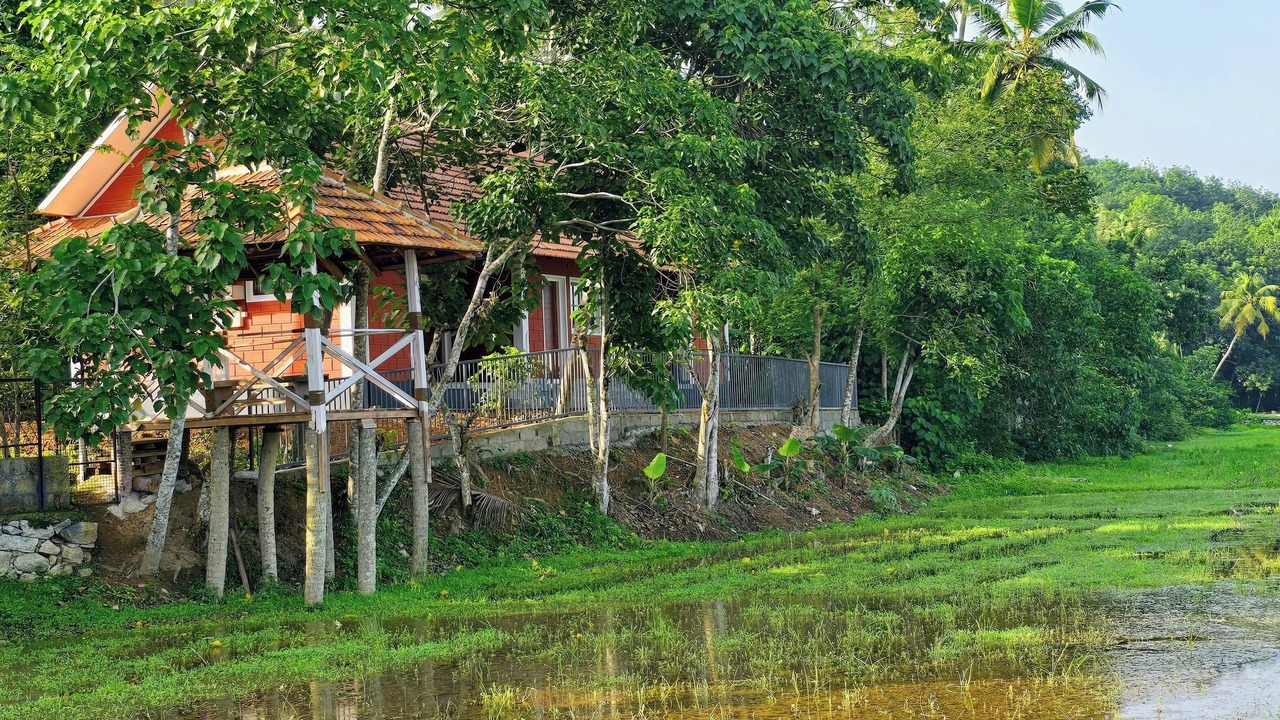 Photo of Outdoor in Chirayinkil